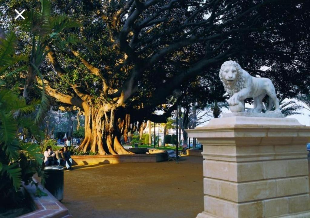 The Terrace Canalejas อาลิกันเต ภายนอก รูปภาพ